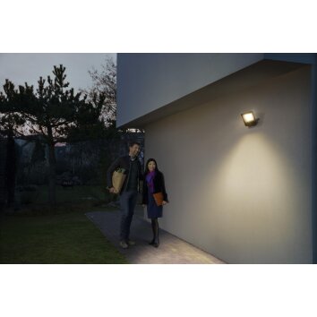 LEDVANCE SMART+ Reflektor ogrodowy Szary, 1-punktowy, Zmieniacz kolorów