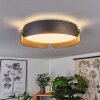 Fuscado Lampa Sufitowa LED Czarny, 1-punktowy