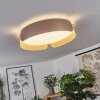 Fuscado Lampa Sufitowa LED Mokka, 1-punktowy