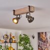 Pehefito Lampa sufitowa Szary, Zielony, Ecru, 2-punktowe