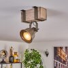 Pehefito Lampa sufitowa Szary, Zielony, Ecru, 1-punktowy