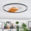 Pompu Lampa sufitowa LED Ecru, Czarny, 1-punktowy