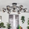 Gastor Lampa sufitowa 91 cm Przezroczysty, Przydymiony, 12-punktowe