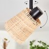 Lindberg Lampa sufitowa Czarny, 6-punktowe