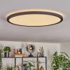 Endrup Lampa sufitowa LED Czarny, 1-punktowy