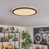 Endrup Lampa sufitowa LED Czarny, 1-punktowy