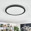 Endrup Lampa sufitowa LED Czarny, 1-punktowy