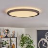 Endrup Lampa sufitowa LED Czarny, 1-punktowy