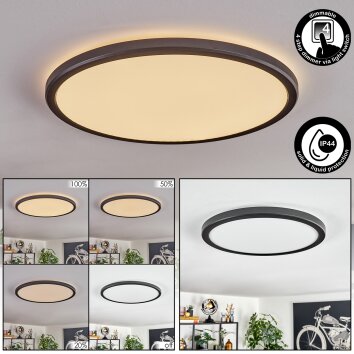 Endrup Lampa sufitowa LED Czarny, 1-punktowy