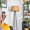 Cavaca Lampa stojąca beige, 1-punktowy