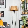 Cavaca Lampa stojąca beige, 1-punktowy