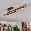 Lemene Lampa sufitowa LED Ecru, Czarny, 2-punktowe