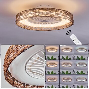 Benasal Lampa sufitowa, lampa z wentylatorem Ecru, Biały, 1-punktowy, Zdalne sterowanie