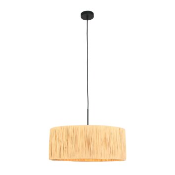 Oświetlenie Steinhauer Light Lampa wisząca Czarny, 1-punktowy