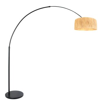 Oświetlenie Steinhauer Light Lampa stojąca Czarny, 1-punktowy