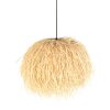 Oświetlenie Steinhauer Grass Lampa wisząca Czarny, 1-punktowy