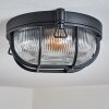 Godel Zewnętrzna lampa sufitowa, Lampa sufitowa Czarny, 1-punktowy