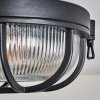 Godel Zewnętrzna lampa sufitowa, Lampa sufitowa Czarny, 1-punktowy