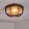 Godel Zewnętrzna lampa sufitowa, Lampa sufitowa Czarny, 1-punktowy