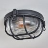 Godel Zewnętrzna lampa sufitowa, Lampa sufitowa Czarny, 1-punktowy