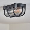 Godel Zewnętrzna lampa sufitowa, Lampa sufitowa Czarny, 1-punktowy