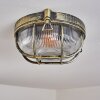 Godel Zewnętrzna lampa sufitowa, Lampa sufitowa Złoty, Czarny, 1-punktowy