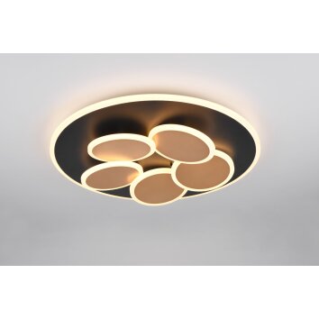 Oświetlenie Trio Mandala Lampa sufitowa LED Czarno-złoty, 1-punktowy, Zdalne sterowanie