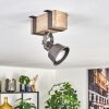 Pehefito Lampa sufitowa, Spot sufitowy Szary, Ecru, 1-punktowy