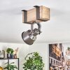 Pehefito Lampa sufitowa, Spot sufitowy Szary, Ecru, 1-punktowy