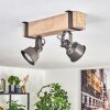 Pehefito Lampa sufitowa, Spot sufitowy Szary, Ecru, 2-punktowe