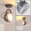 Foverup Lampa Sufitowa Chrom, Szary, 1-punktowy