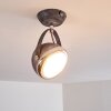 Foverup Lampa Sufitowa Chrom, Szary, 1-punktowy